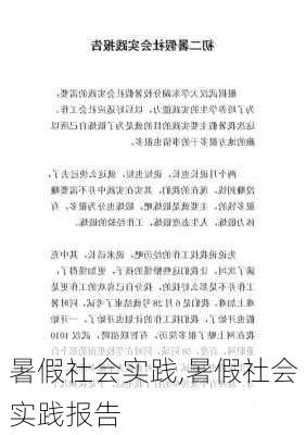 暑假社会实践,暑假社会实践报告-第3张图片-星梦范文网