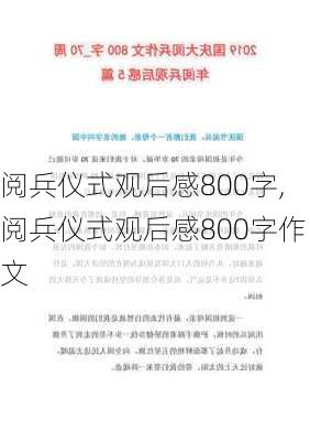 阅兵仪式观后感800字,阅兵仪式观后感800字作文-第3张图片-星梦范文网