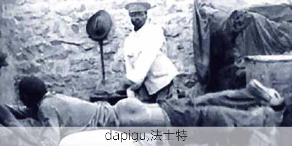 dapigu,法士特-第3张图片-星梦范文网