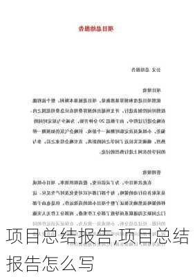 项目总结报告,项目总结报告怎么写