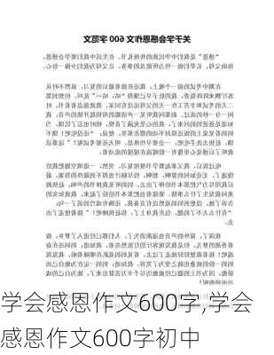 学会感恩作文600字,学会感恩作文600字初中-第2张图片-星梦范文网