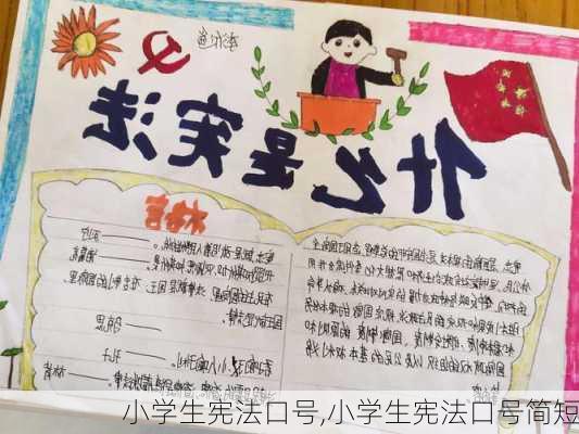 小学生宪法口号,小学生宪法口号简短-第2张图片-星梦范文网