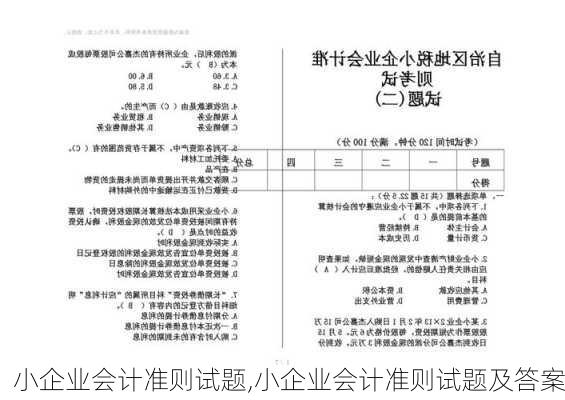 小企业会计准则试题,小企业会计准则试题及答案