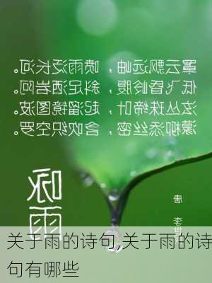 关于雨的诗句,关于雨的诗句有哪些-第3张图片-星梦范文网