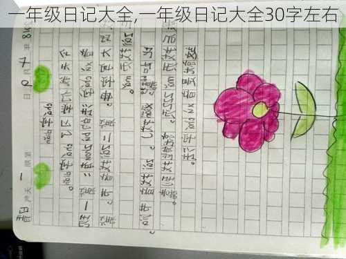 一年级日记大全,一年级日记大全30字左右-第2张图片-星梦范文网