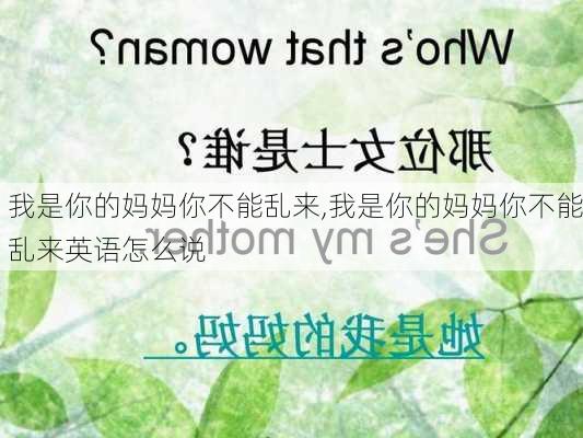 我是你的妈妈你不能乱来,我是你的妈妈你不能乱来英语怎么说-第3张图片-星梦范文网