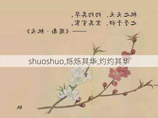 shuoshuo,烁烁其华,灼灼其华