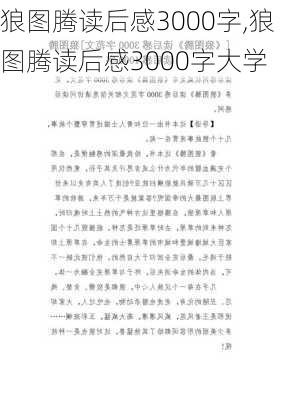 狼图腾读后感3000字,狼图腾读后感3000字大学