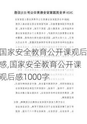 国家安全教育公开课观后感,国家安全教育公开课观后感1000字-第3张图片-星梦范文网