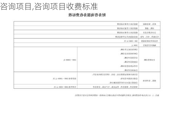 咨询项目,咨询项目收费标准-第2张图片-星梦范文网