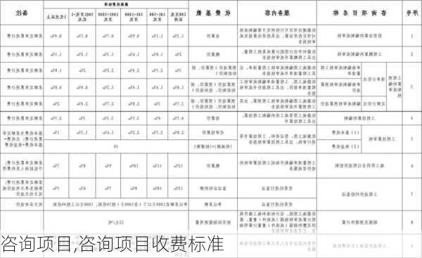 咨询项目,咨询项目收费标准