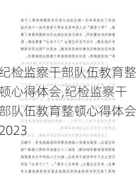 纪检监察干部队伍教育整顿心得体会,纪检监察干部队伍教育整顿心得体会2023-第3张图片-星梦范文网