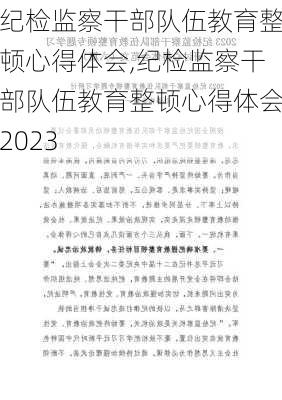 纪检监察干部队伍教育整顿心得体会,纪检监察干部队伍教育整顿心得体会2023-第2张图片-星梦范文网