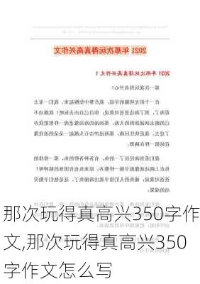 那次玩得真高兴350字作文,那次玩得真高兴350字作文怎么写-第2张图片-星梦范文网