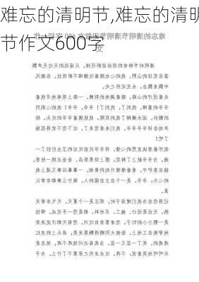 难忘的清明节,难忘的清明节作文600字