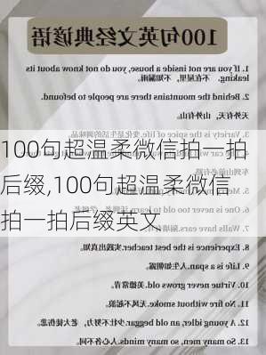 100句超温柔微信拍一拍后缀,100句超温柔微信拍一拍后缀英文-第2张图片-星梦范文网