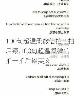 100句超温柔微信拍一拍后缀,100句超温柔微信拍一拍后缀英文-第3张图片-星梦范文网