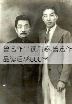 鲁迅作品读后感,鲁迅作品读后感800字-第2张图片-星梦范文网