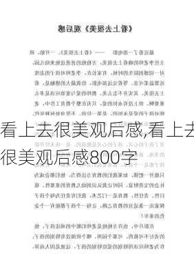 看上去很美观后感,看上去很美观后感800字-第2张图片-星梦范文网