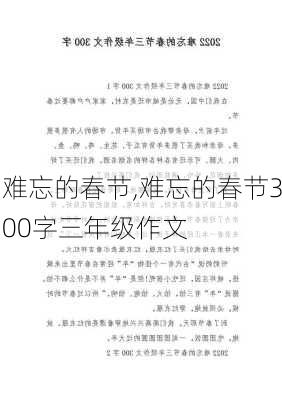 难忘的春节,难忘的春节300字三年级作文-第2张图片-星梦范文网