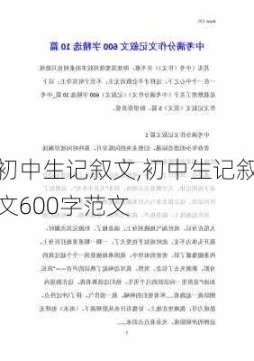 初中生记叙文,初中生记叙文600字范文-第3张图片-星梦范文网