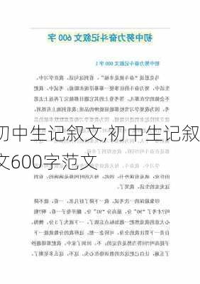 初中生记叙文,初中生记叙文600字范文-第2张图片-星梦范文网