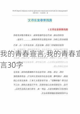 我的青春宣言,我的青春宣言30字