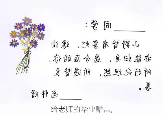 给老师的毕业赠言,