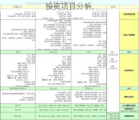 投资项目分析,-第2张图片-星梦范文网