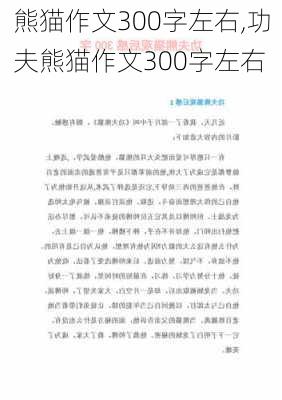 熊猫作文300字左右,功夫熊猫作文300字左右-第2张图片-星梦范文网