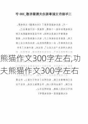 熊猫作文300字左右,功夫熊猫作文300字左右