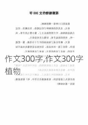 作文300字,作文300字植物