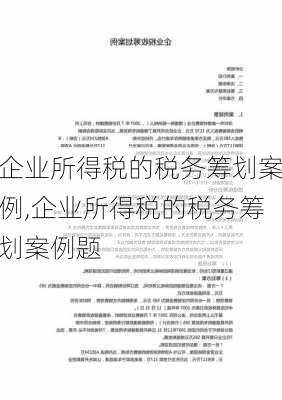 企业所得税的税务筹划案例,企业所得税的税务筹划案例题-第3张图片-星梦范文网