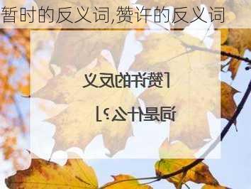 暂时的反义词,赞许的反义词-第3张图片-星梦范文网