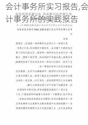 会计事务所实习报告,会计事务所的实践报告