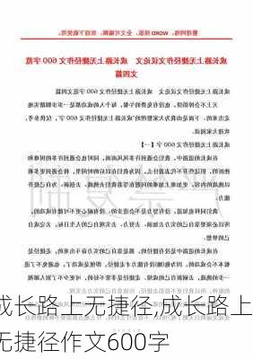 成长路上无捷径,成长路上无捷径作文600字