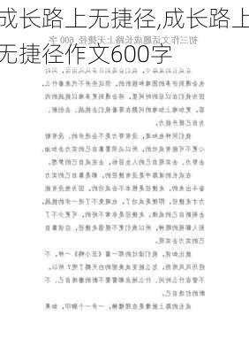 成长路上无捷径,成长路上无捷径作文600字-第3张图片-星梦范文网