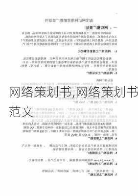 网络策划书,网络策划书范文-第3张图片-星梦范文网