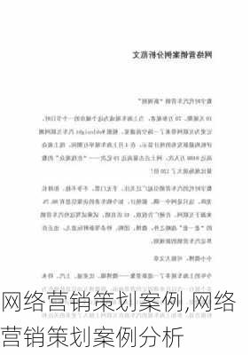 网络营销策划案例,网络营销策划案例分析