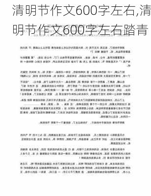 清明节作文600字左右,清明节作文600字左右踏青-第2张图片-星梦范文网