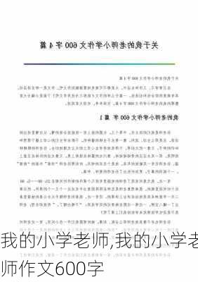 我的小学老师,我的小学老师作文600字-第2张图片-星梦范文网