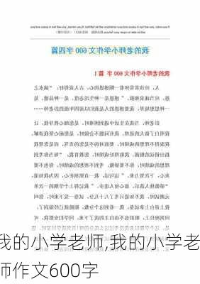 我的小学老师,我的小学老师作文600字