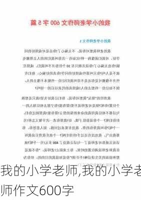 我的小学老师,我的小学老师作文600字-第3张图片-星梦范文网