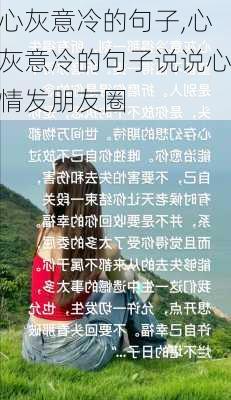 心灰意冷的句子,心灰意冷的句子说说心情发朋友圈-第3张图片-星梦范文网