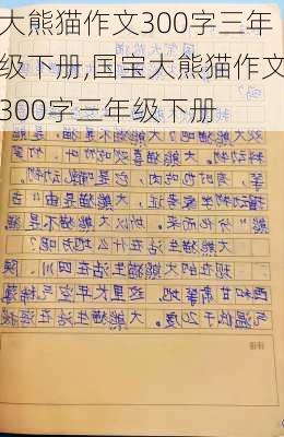 大熊猫作文300字三年级下册,国宝大熊猫作文300字三年级下册-第3张图片-星梦范文网