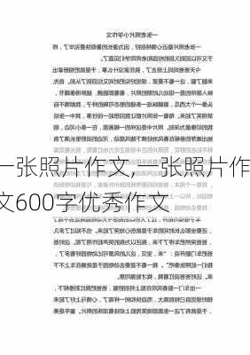 一张照片作文,一张照片作文600字优秀作文