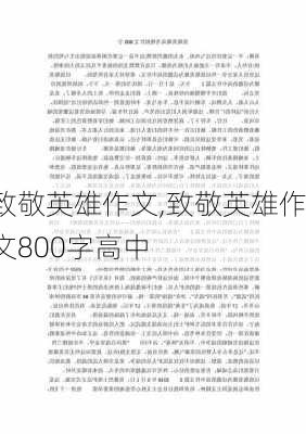 致敬英雄作文,致敬英雄作文800字高中