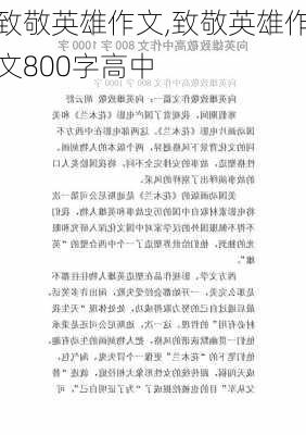 致敬英雄作文,致敬英雄作文800字高中-第2张图片-星梦范文网