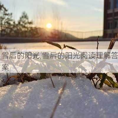 雪后的阳光,雪后的阳光阅读理解答案-第3张图片-星梦范文网