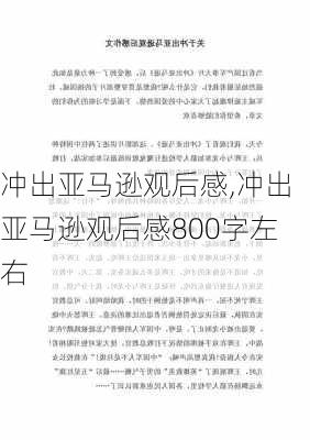 冲出亚马逊观后感,冲出亚马逊观后感800字左右